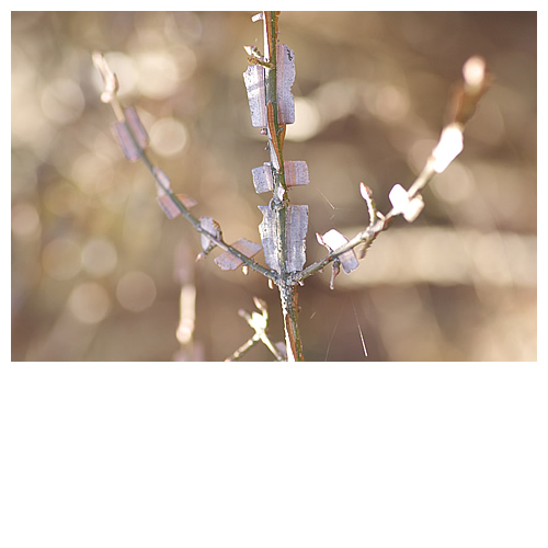 一等賞～♪賞賛を浴びてます。