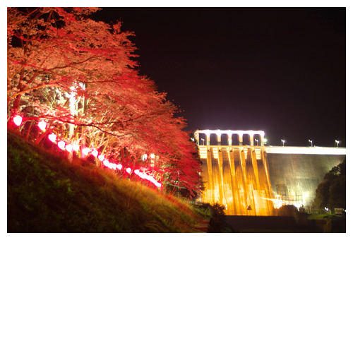 早明浦ダムと夜桜の景色