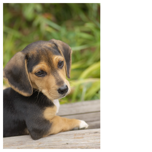 『ここらでちょっと、一息いれますか？』