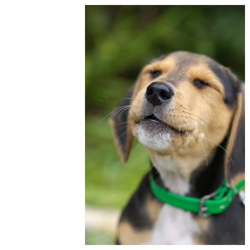 追想　～ Recollection ～