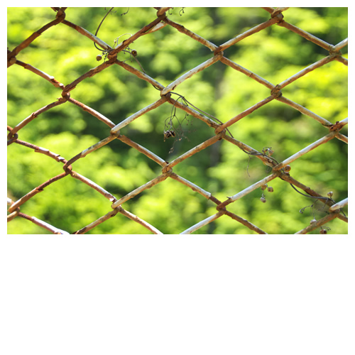 錆びた針金フェンスと新緑