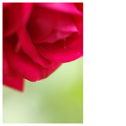 キミの哀しみはボクの哀しみ。