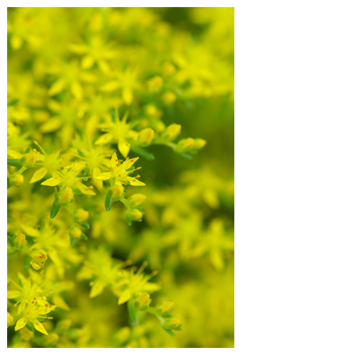 きっともうすぐ・・・雨が降り始めるよ。