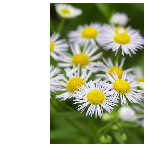 みんなの笑顔　～ All Smile's ～