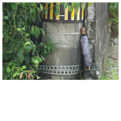 置き去り折りたたみ傘の恋。