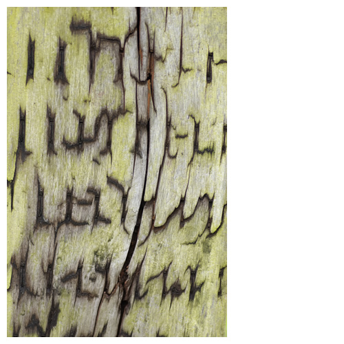 木片記号　- Wood Sign -