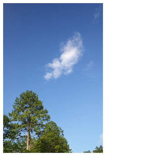 たとえば、あの空に浮かんでいる雲のように･･･