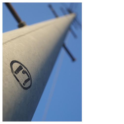 自分は自分だと自分に言い聞かせてる