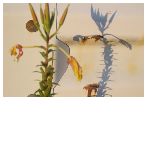 影っ子・真似っ子・僕のともだち