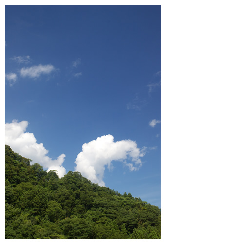 空を優雅に 雲ネッシー