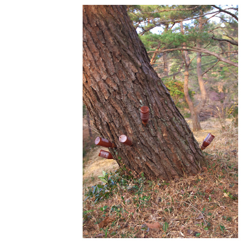 誰だ！？こんな悪戯した奴は？？・・・と思ったら、グリーンガードだった。