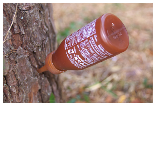 松の木に刺さってたのはグリーンガードという松枯れを防ぐ