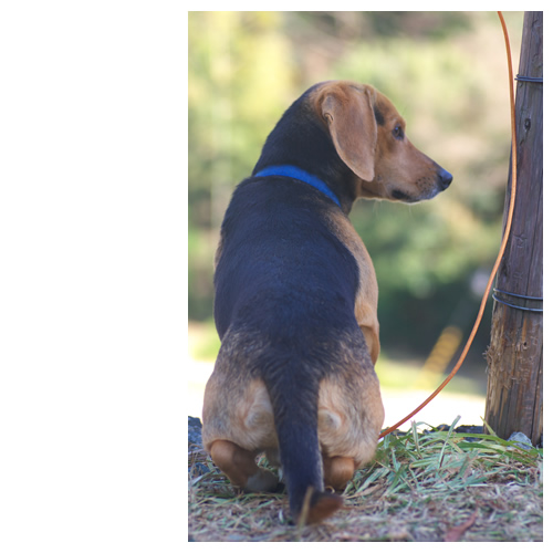 待ち姿：ルートは誰を待っているのでしょう？