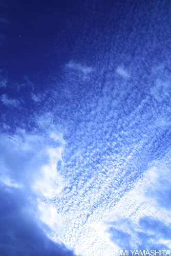 空の青と白い雲