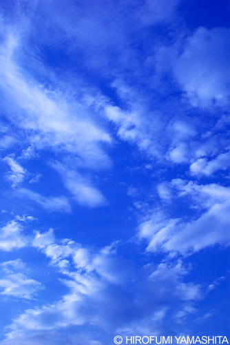 空の青と白い雲