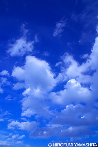 空の青と白い雲