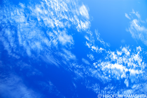 ブルー・スカイ（空と雲）