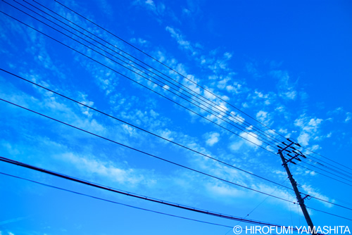 ブルー・スカイ（空と雲）