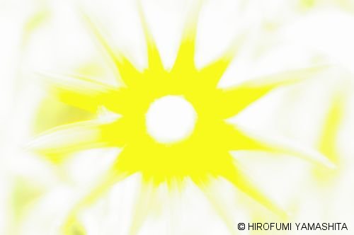 ハイキールドベキア