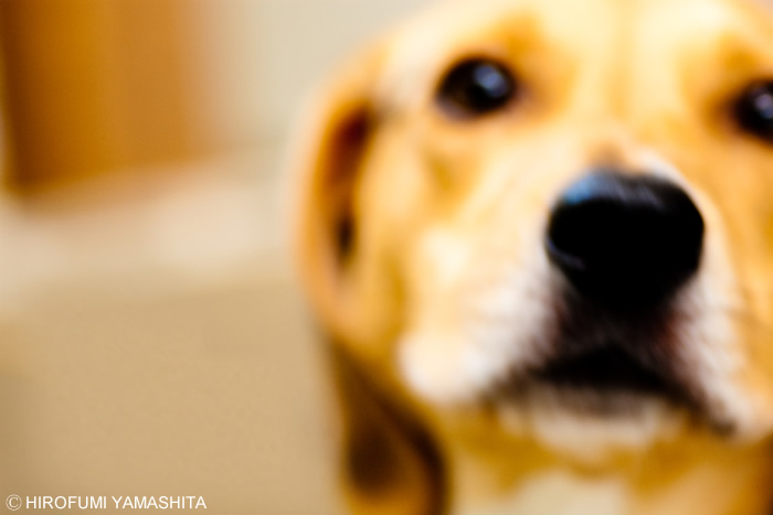 ルートのボケアップ