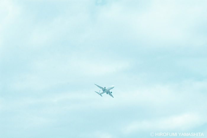 淡い感じの写真に仕上げてみた。