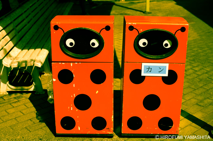 わんぱーくこうちで見つけたおそらく双子のテントウムシ