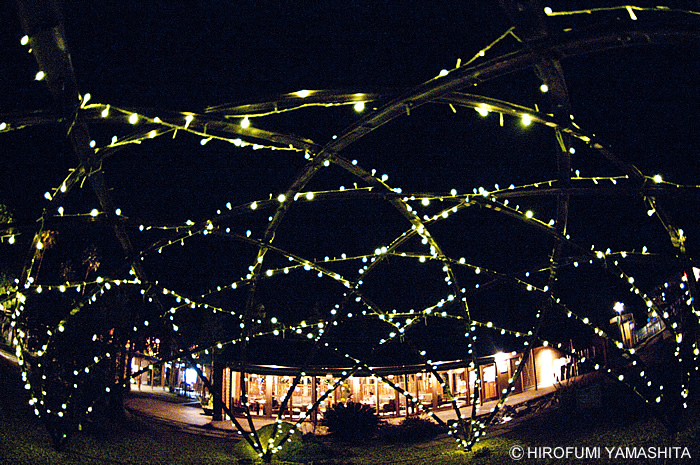 「道の駅やす」のイルミネーション？星