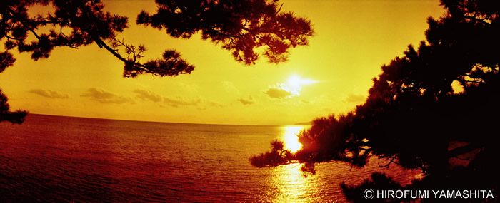 今年の抱負は「目線と被写体の幅を拡げる」です。