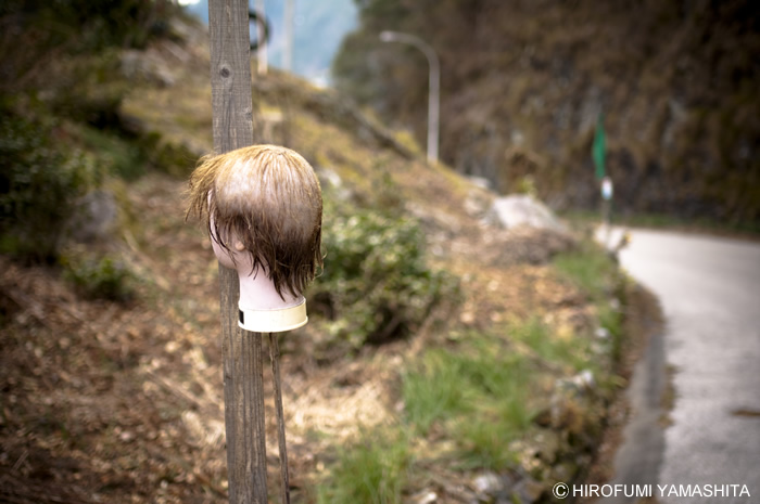 どうしてこんな事に・・・？ ちょっと怖い写真。