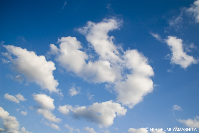 空の写真だけど、夜中にこんばんわ。