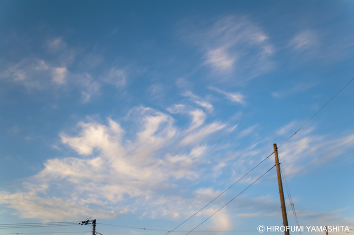 空は、また僕らを、遠い日の沈黙へと連れ去るのでした。