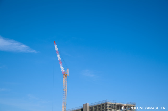 遠い空に背伸びして。。。