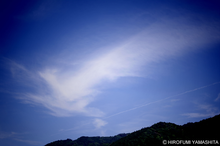 不死鳥（フェニックス）のような雲。