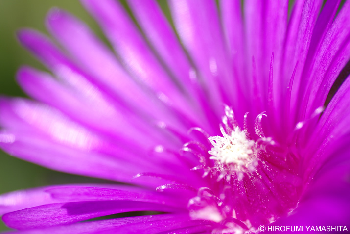 小さなステージ