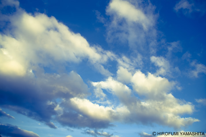 逃げ出したくなる時、空を見上げてた。