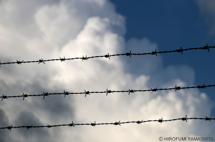 有刺鉄線と入道雲の空