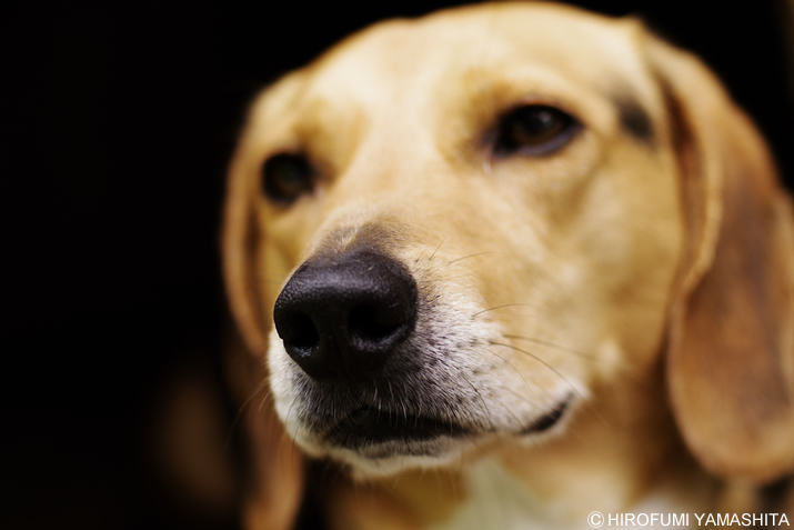 「・・・あんた、何やってんスか？」的な顔。