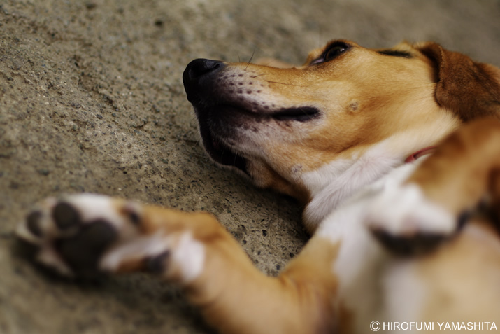 シーン：襲撃後。