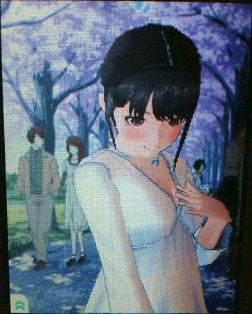 2010年4月現在の寧々さん