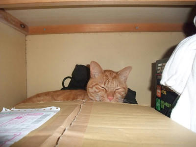 DSCF0912.jpg