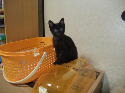 DSCF0849.jpg