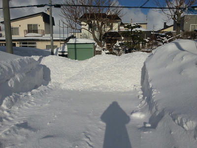 20130209_144501.jpg