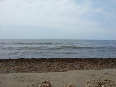 20130625_122856.jpg