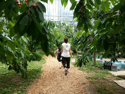 20130709_123757.jpg