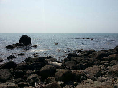 20130625_141228.jpg