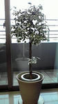 2009100416250000.jpg