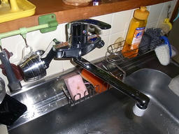 20110706D.jpg