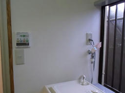 20110726D.jpg