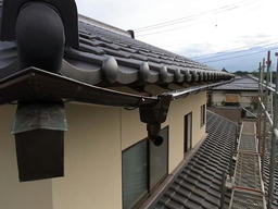 20110728D.jpg
