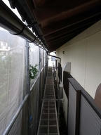 20110729C.jpg
